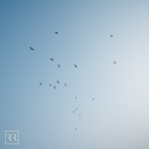 黑人巨大中出し21歳
